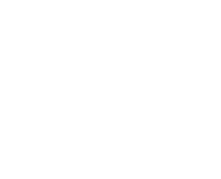 Planet Sputnik Logo 2025 PLANET ohne Stern